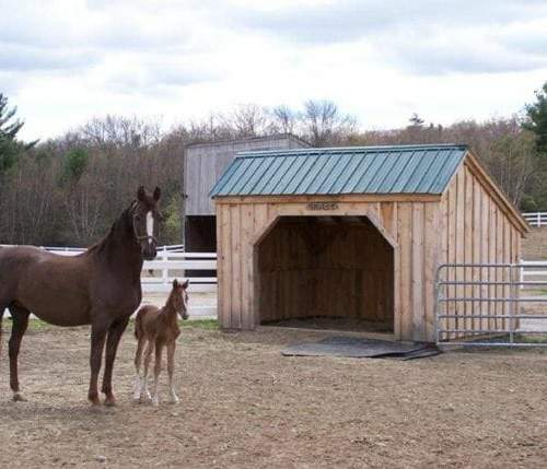 Our post and beam horse run in shed is the sturdiest barn you can buy