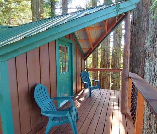 Backyard Retreat built as a treehouse